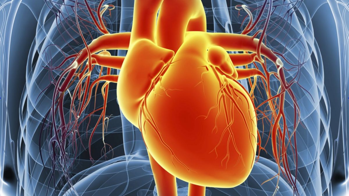 Você sabe o que é a miocardiopatia não compactada?